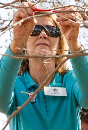 Cynthia Rives ties a prayer ribbon to a tree in honor of those killed during the Washita Massacre. Rives was representing United Methodist Women at the Oklahoma Indian Missionary Conference immersion experience. Photo by Ginny Underwood, UMNS.