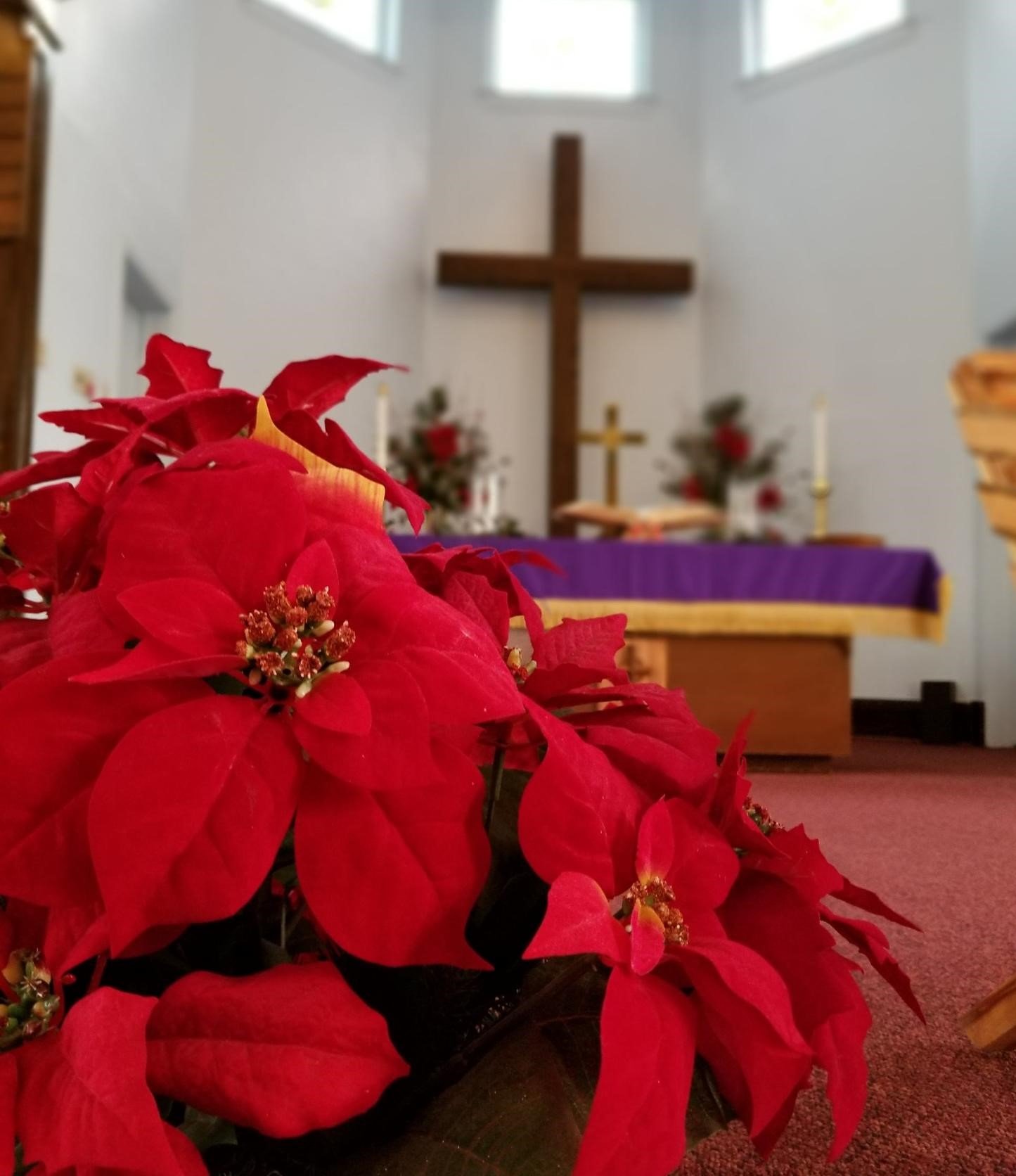 The sanctuary at Palisade United Methodist Church in Palisade, Colorado, is decorated for Advent.